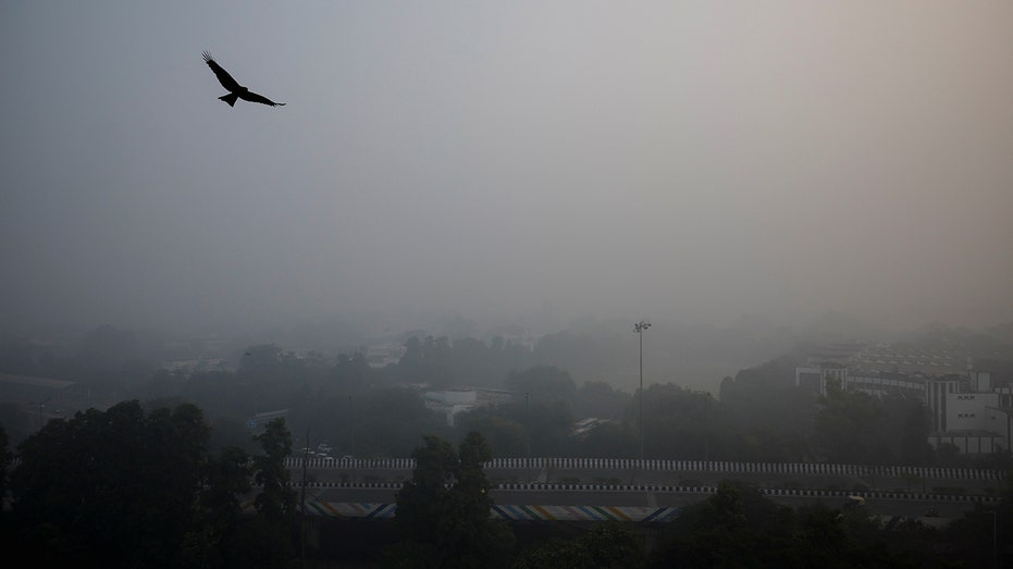 India’s capital introduces stricter anti-pollution measures as toxic smog hides Taj Mahal