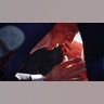 President Donald Trump is shown covered by U.S. Secret Service agents after an incident during a rally