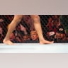 Former President Donald Trump at the fight between Raul Rosas Jr. and Christian Rodriguez during UFC 287