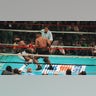 Mike Tyson knocks out