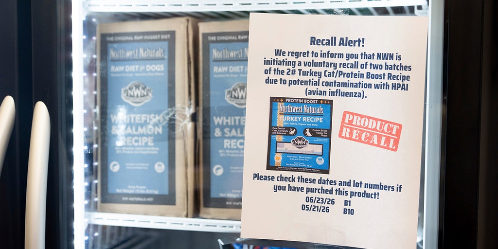 Bird flu uptick in US has CDC on alert for pandemic 'red flags': report