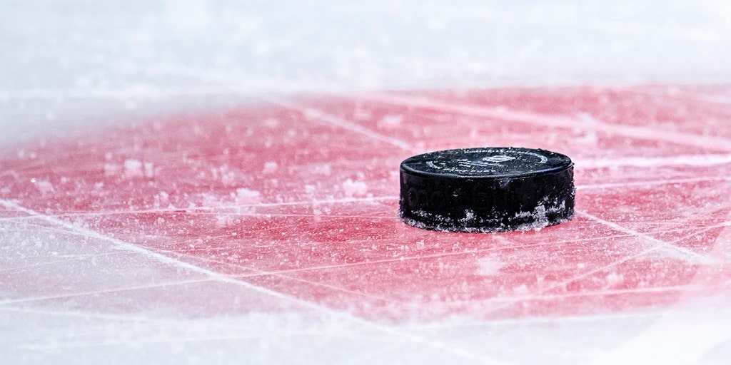 New York high school hockey player dead at 17 after 'sudden medical event'