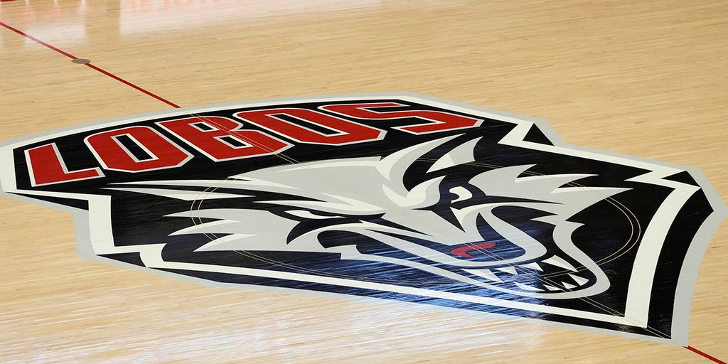 New Mexico basketball player allegedly punched walk-on teammate over plane seat: reports