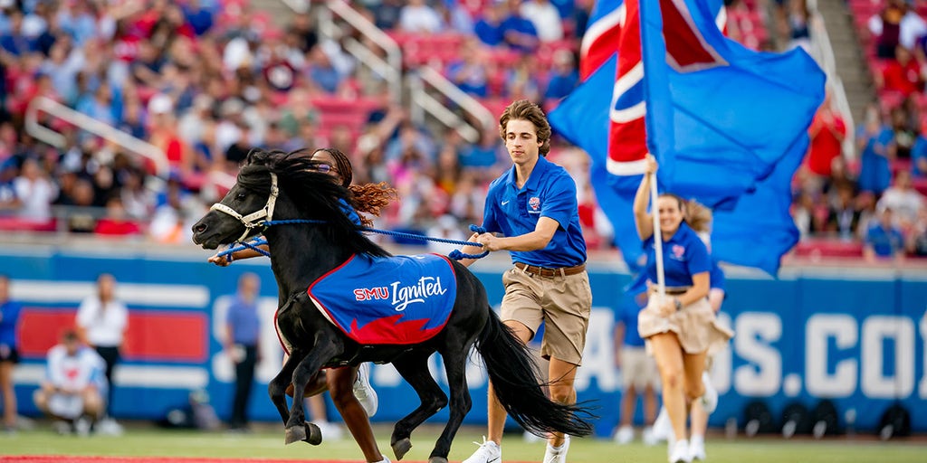 PETA calls on SMU to end live mascot program ahead of Peruna's appearance ACC title game