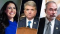 Reps. Anna Paulina Luna and Michael McCaul, and House Freedom Caucus Chairman Andy Harris, all shared New Year's resolutions with Fox News Digital - Fox News