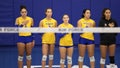 San Jose State Spartans players look on prior to the game against the Air Force Falcons at Falcon Court at East Gym on October 19, 2024 in Colorado Springs, Colorado. - Fox News