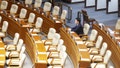 Only one People Power Party lawmaker remains in the voting chamber during the plenary session for the impeachment vote of President Yoon Suk Yeol at the National Assembly in Seoul, South Korea, on December 7, 2024. - Fox News