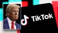 President-elect Trump is pictured in front of the TikTok logo. - Fox News