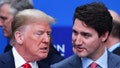 TOPSHOT - US President Donald Trump (L) talks with Canada's Prime Minister Justin Trudeau during the plenary session of the NATO summit at the Grove hotel in Watford, northeast of London on December 4, 2019. (Photo by Nicholas Kamm / AFP) (Photo by NICHOLAS KAMM/AFP via Getty Images) - Fox News