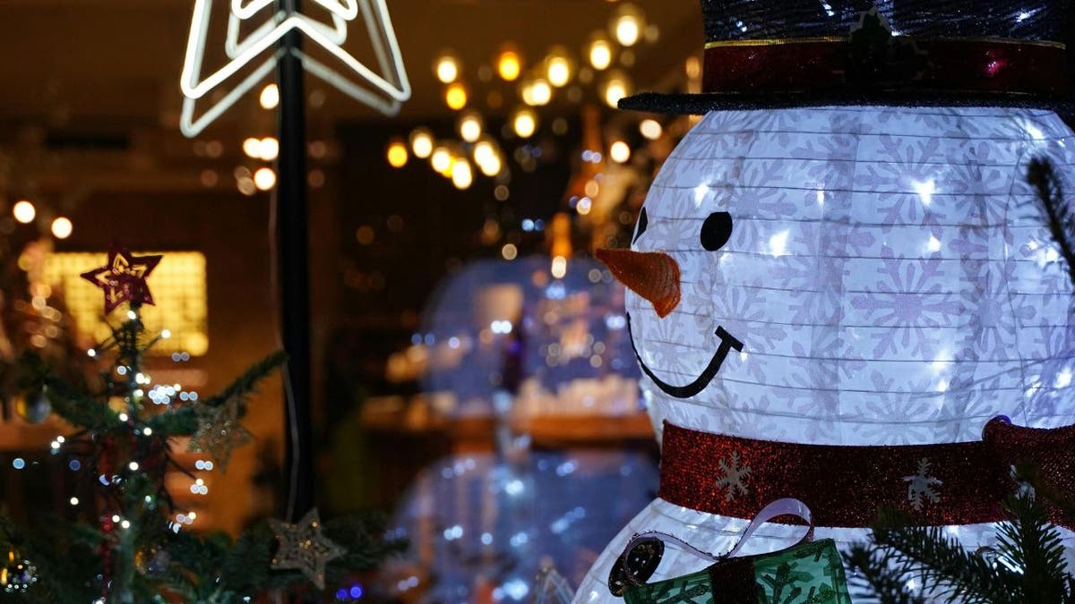 Protect decorations 2