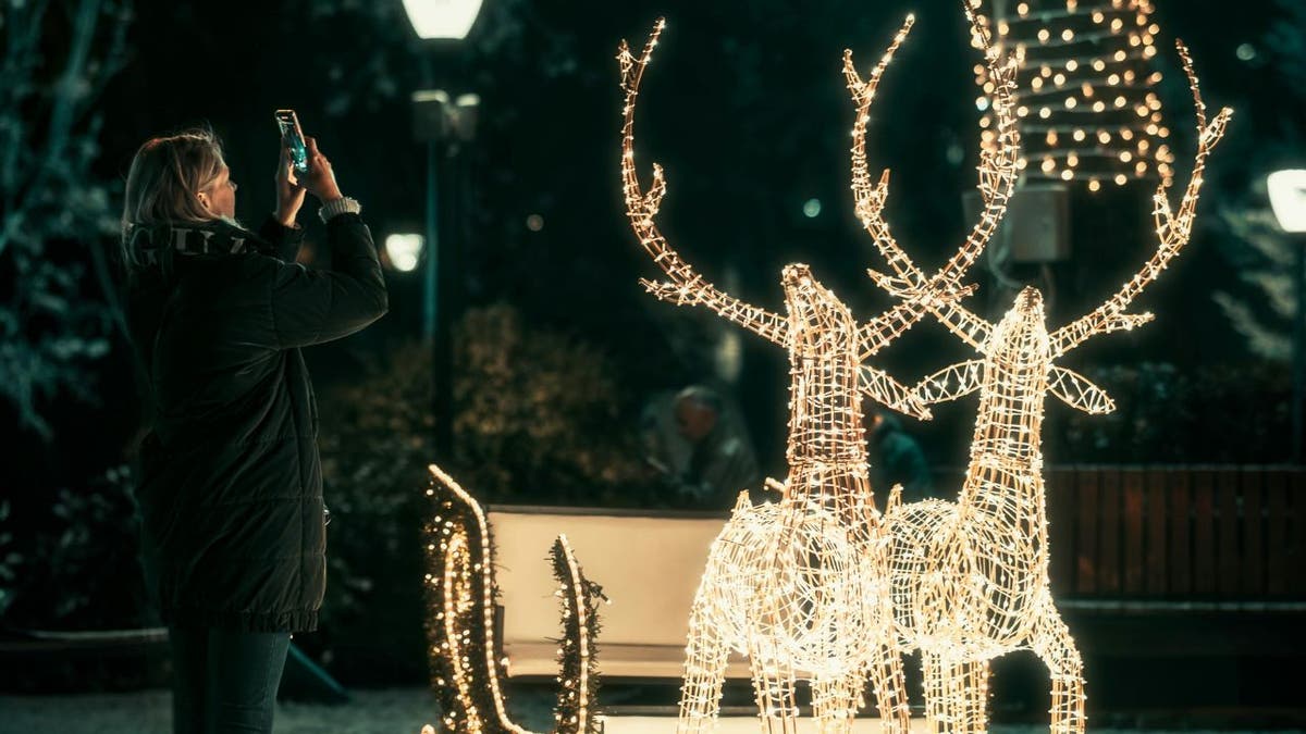 Protect decorations 3