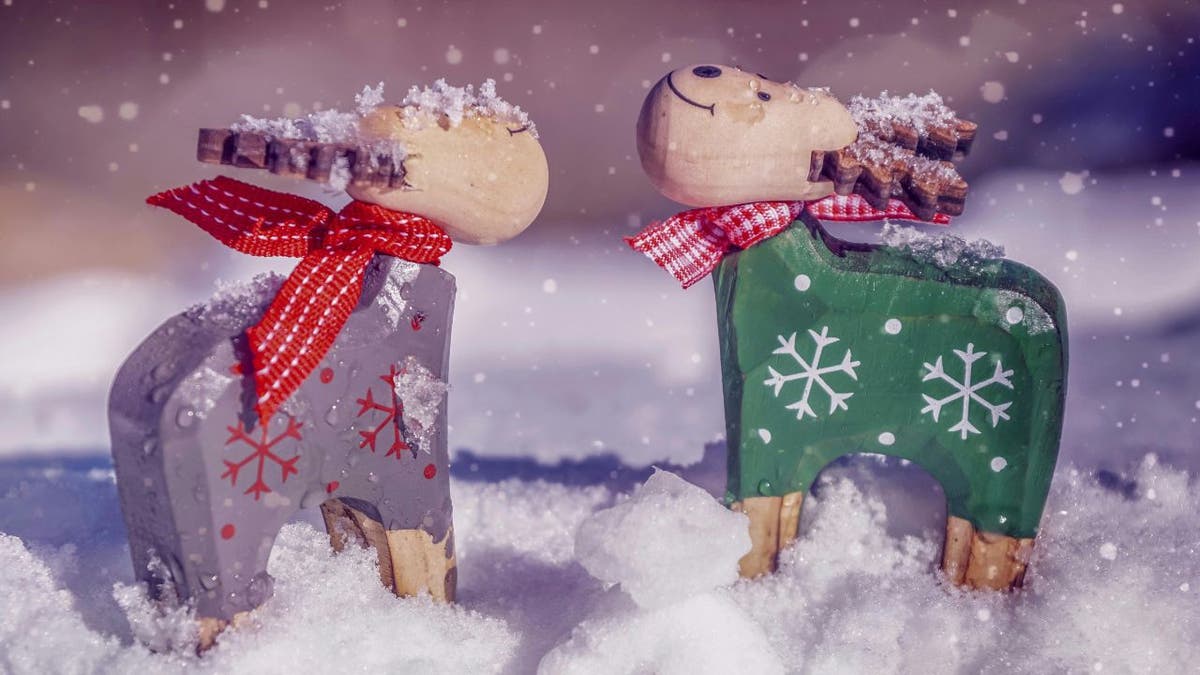 Protect decorations 5