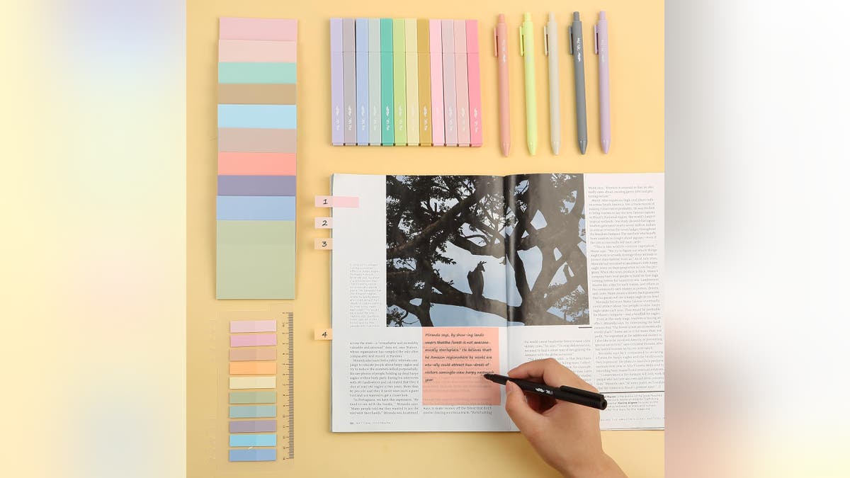 Readers who like to annotate will appreciate this pack.?