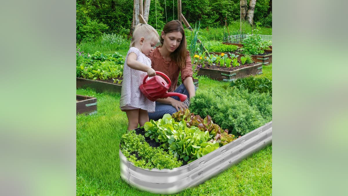 Start your own garden with this raised bed kit. 