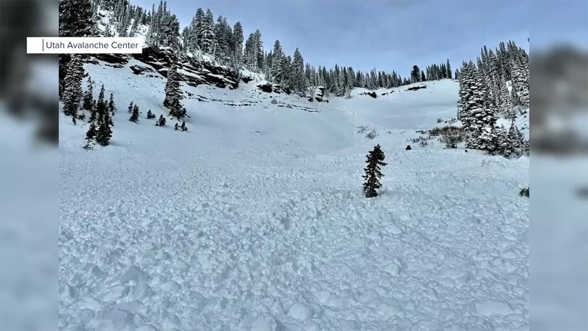 Utah Avalanche site