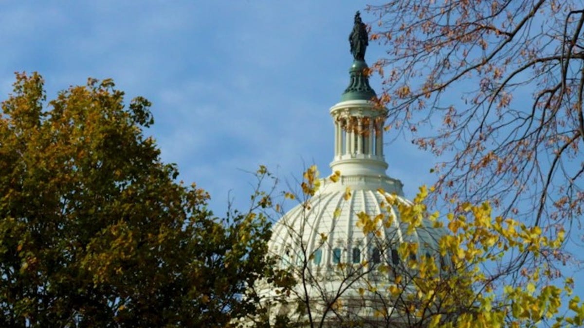 La cúpula del edificio del Capitolio de EE.UU. vista desde una percha en Washington, D.C. (Foto de Emma Woodhead, Fox News Digital)