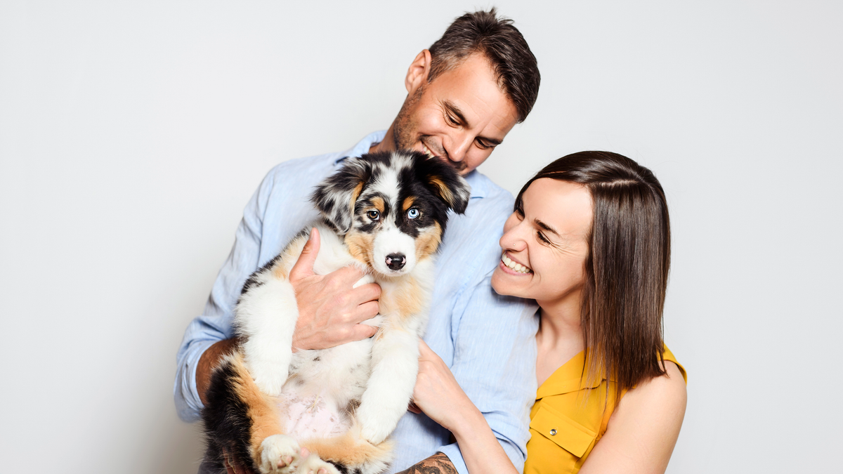 Gift for new dog parents Puppy training essentials.