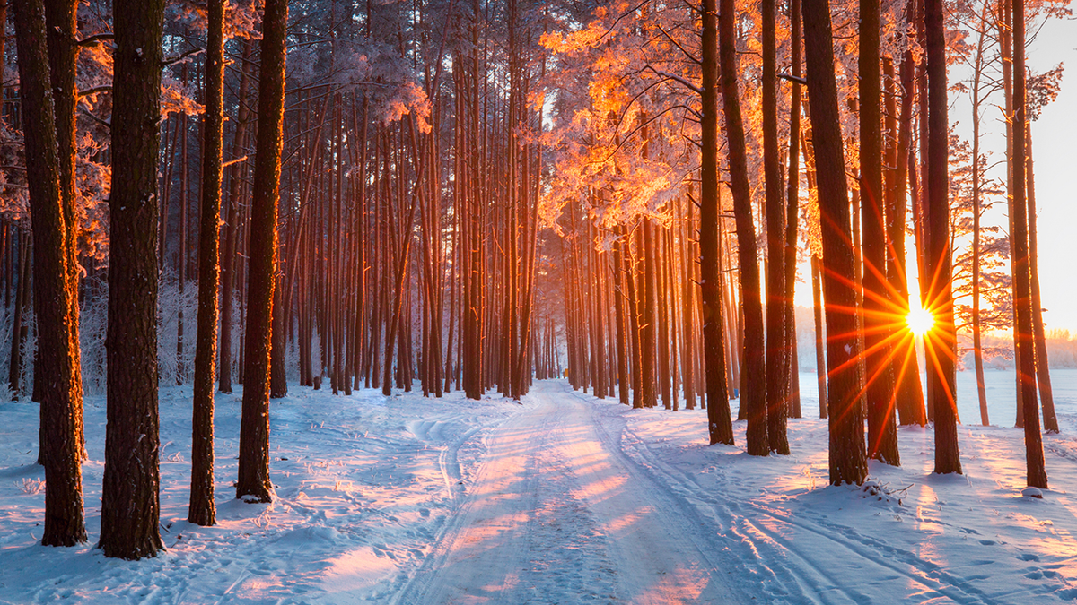 The Fox News has the perfect selection of warm weather gear to keep you cozy this holiday season.