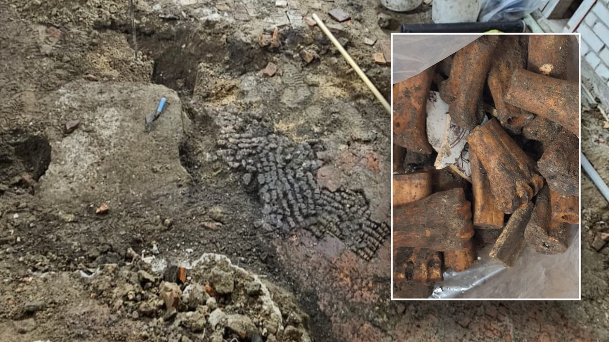 Split image of cattle bones, floor