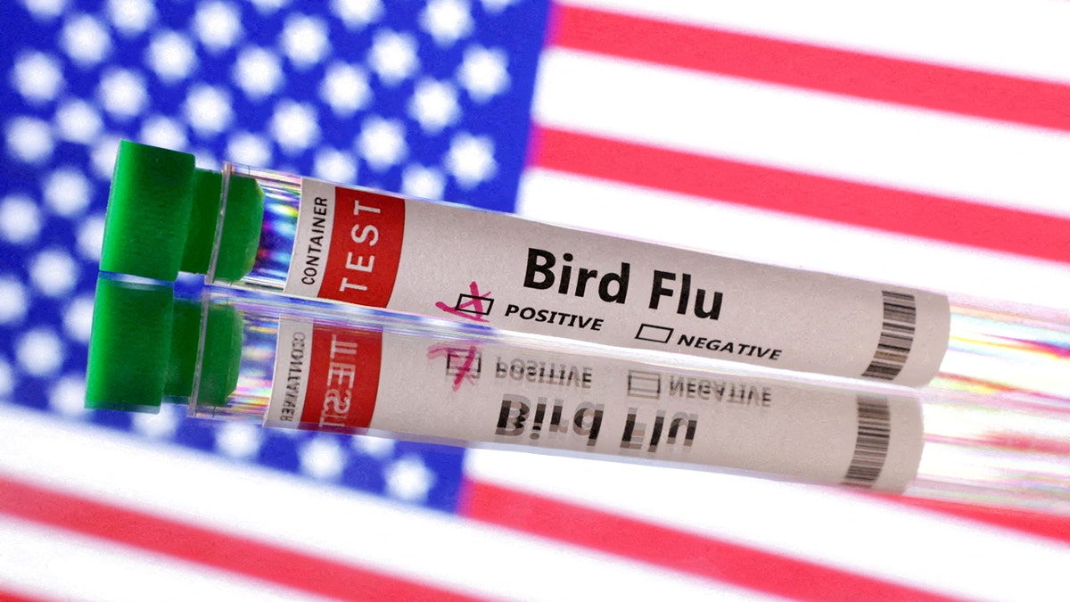 A test tube labeled "Bird Flu" with an X in the checkbox labeled "positive" is seen in front of a U.S. flag in this illustration taken, June 10, 2024.