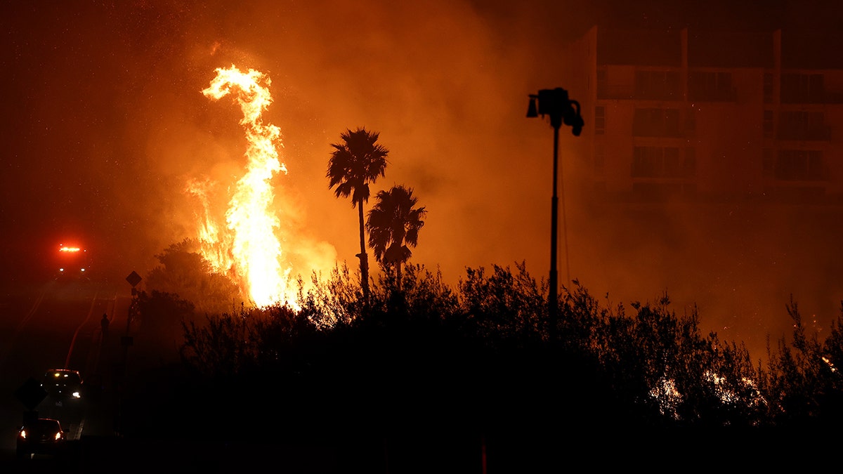 Dark palm trees stand tall against the raging Malibu fire