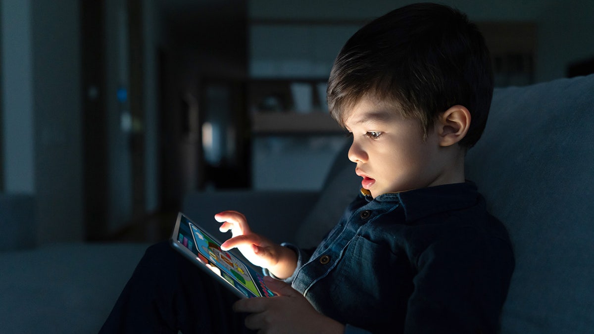 young boy using a digital tablet at home