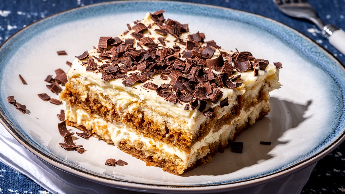 Tiramisu on a plate.