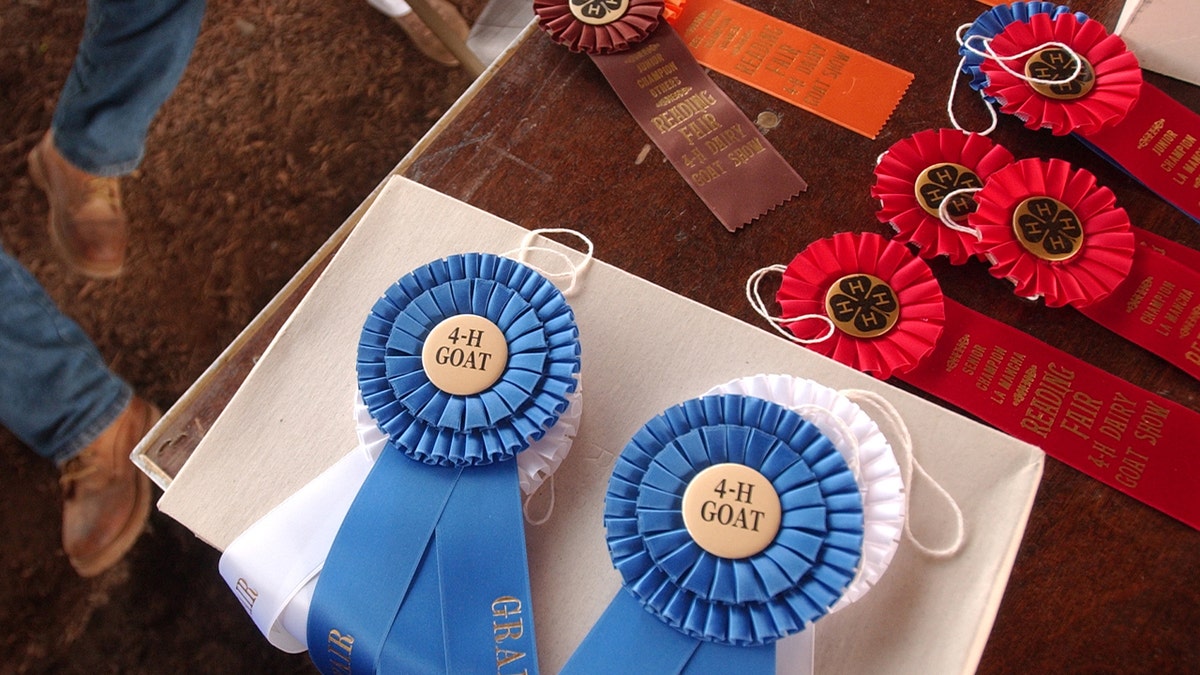 4-H club medals