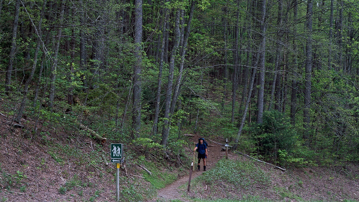 lonely hiker