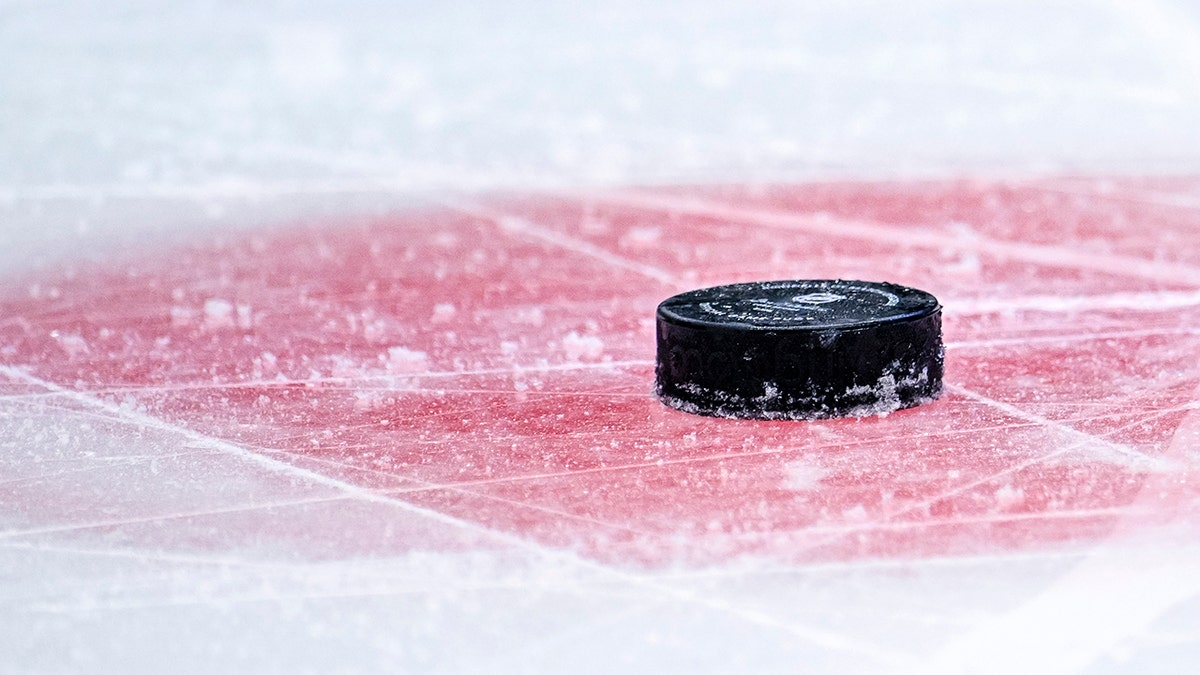 Hockey puck on the ice