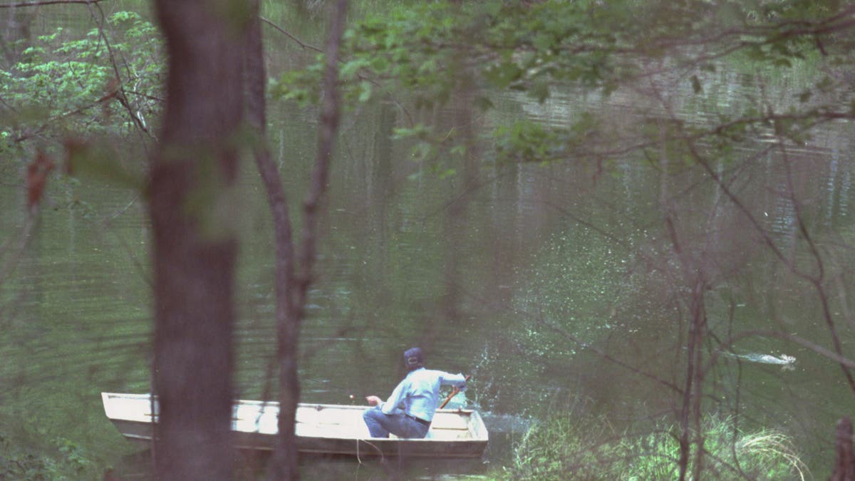 President of the United States Jimmy Carter in a boat in Plains, Georgia, chasing away a swamp rabbit (Sylvilagus aquaticus). This led to the "Jimmy Carter rabbit incident." Photo source: Jerry Callen. President Jimmy Carter and the "killer rabbit." Narsil.org. Archived from the original on June 10, 2015. Photograph courtesy of the Jimmy Carter Library.