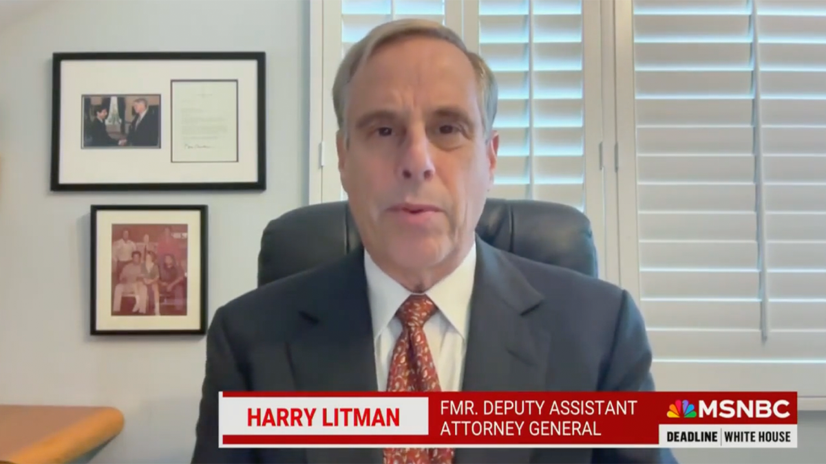 Litman on MSNBC