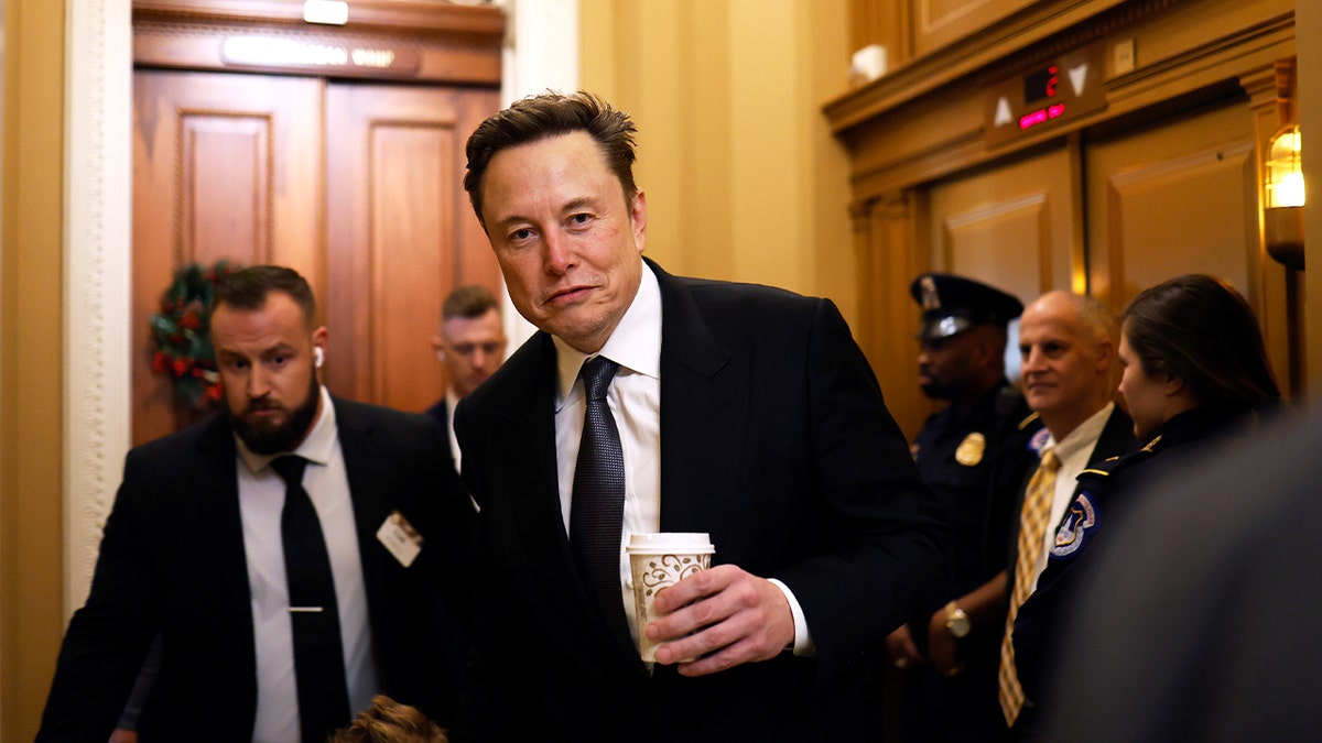 Germany accuses Elon Musk of trying to interfere in its national elections  at george magazine