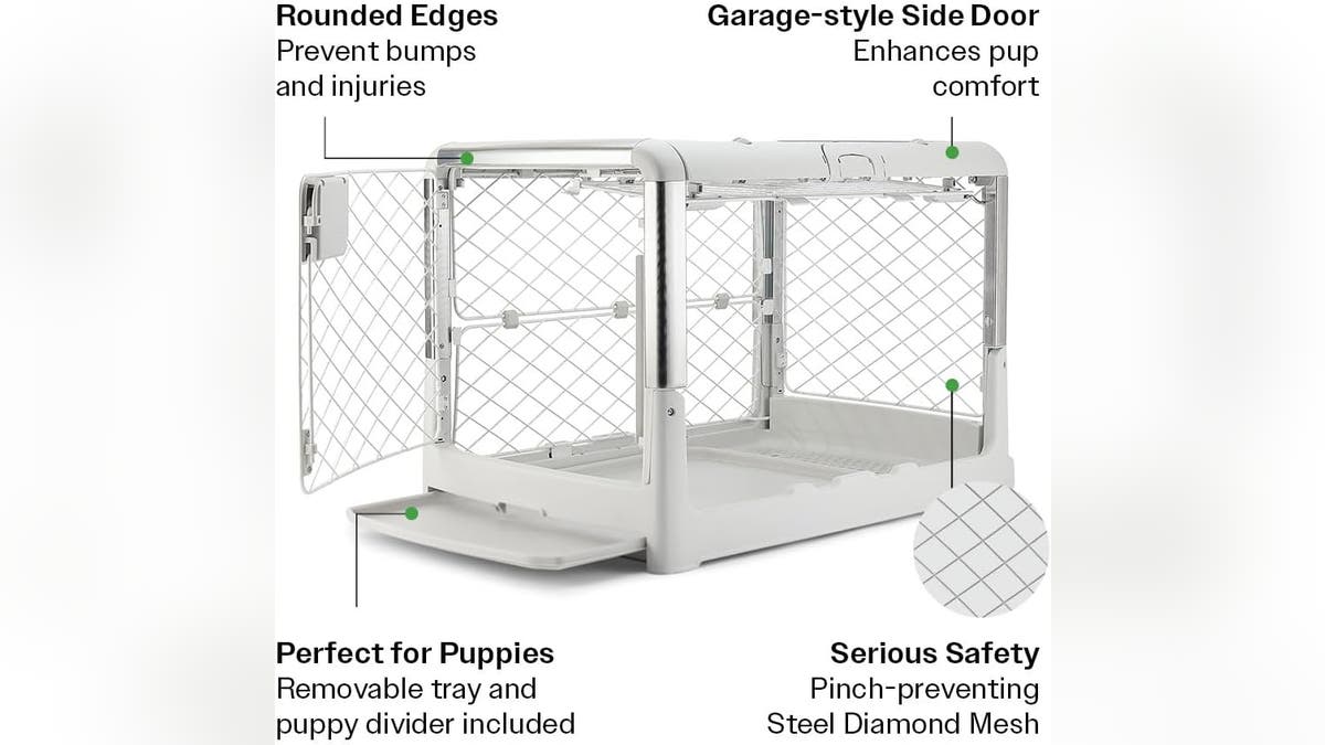 Evolv is Diggs' slimmest dog box that holds a novel "Kindergarten setting" And standard design.