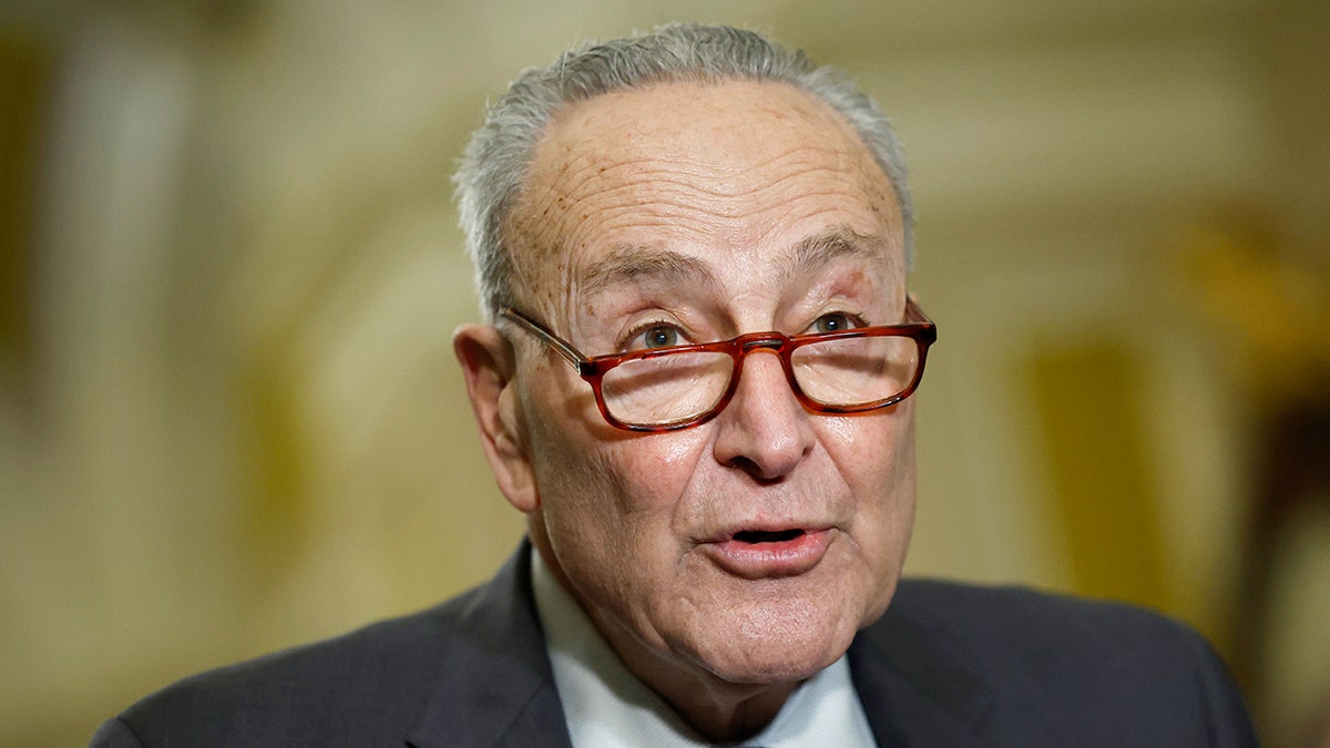 参议院查克·舒默（Chuck Schumer）的多数党领袖