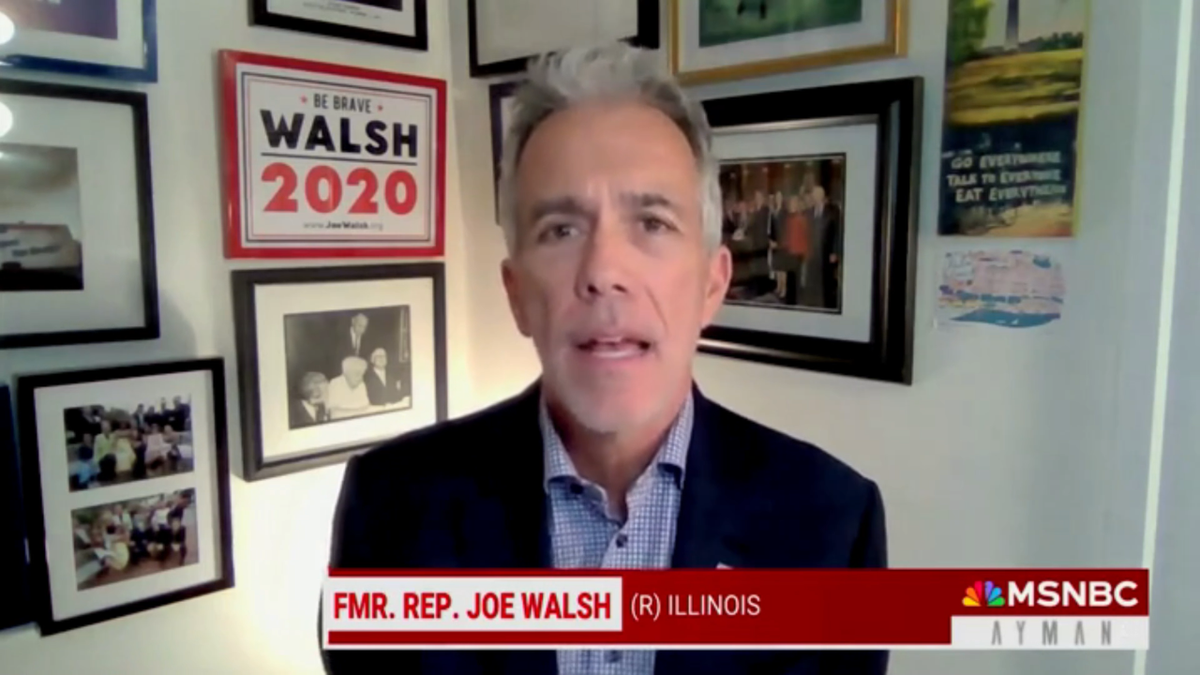 Joe Walsh on MSNBC