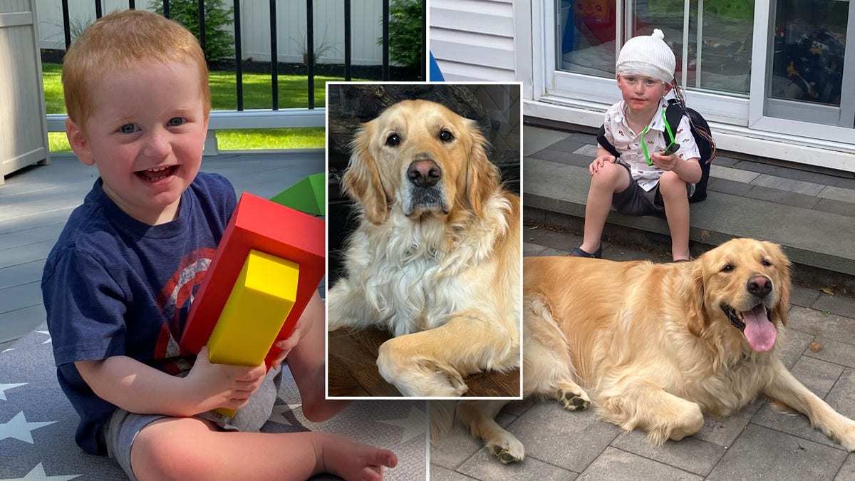 Service dog helps boy with rare genetic disorder achieve ‘unbelievable’ progress