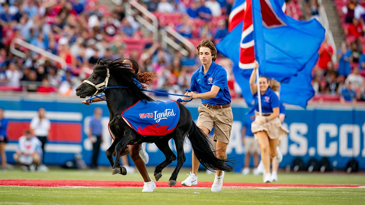 Peruna runs across the field