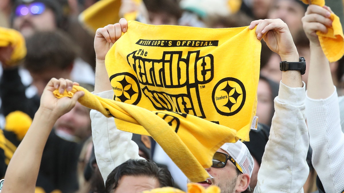 Steelers fans at Ravens game