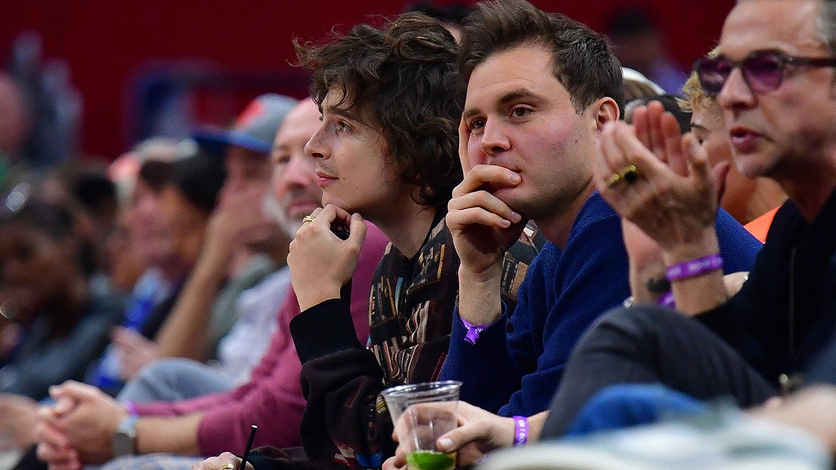 Timothée Chalamet watches game