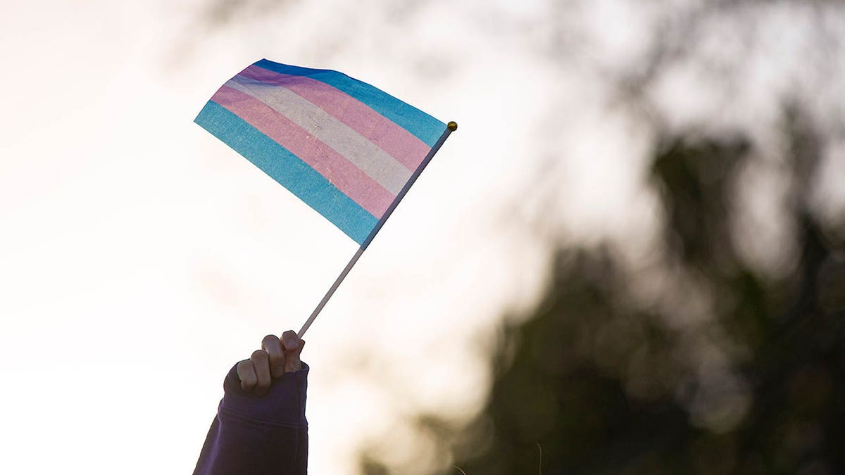 A transgender flag