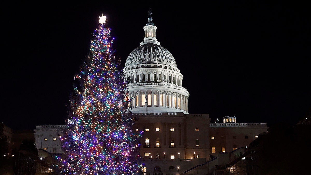 A árvore de Natal do Capitólio dos EUA está acesa para a temporada de férias