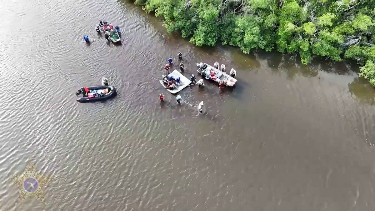 Dolphins being rescued in Florida lagoon