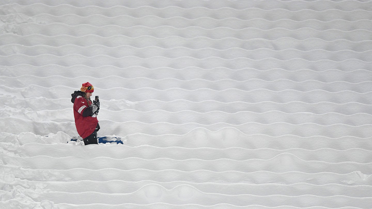 bills fan shovels