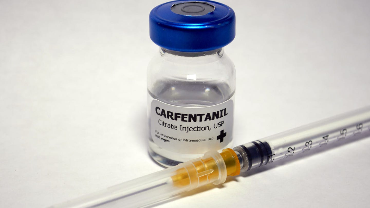 carfentanil injection
