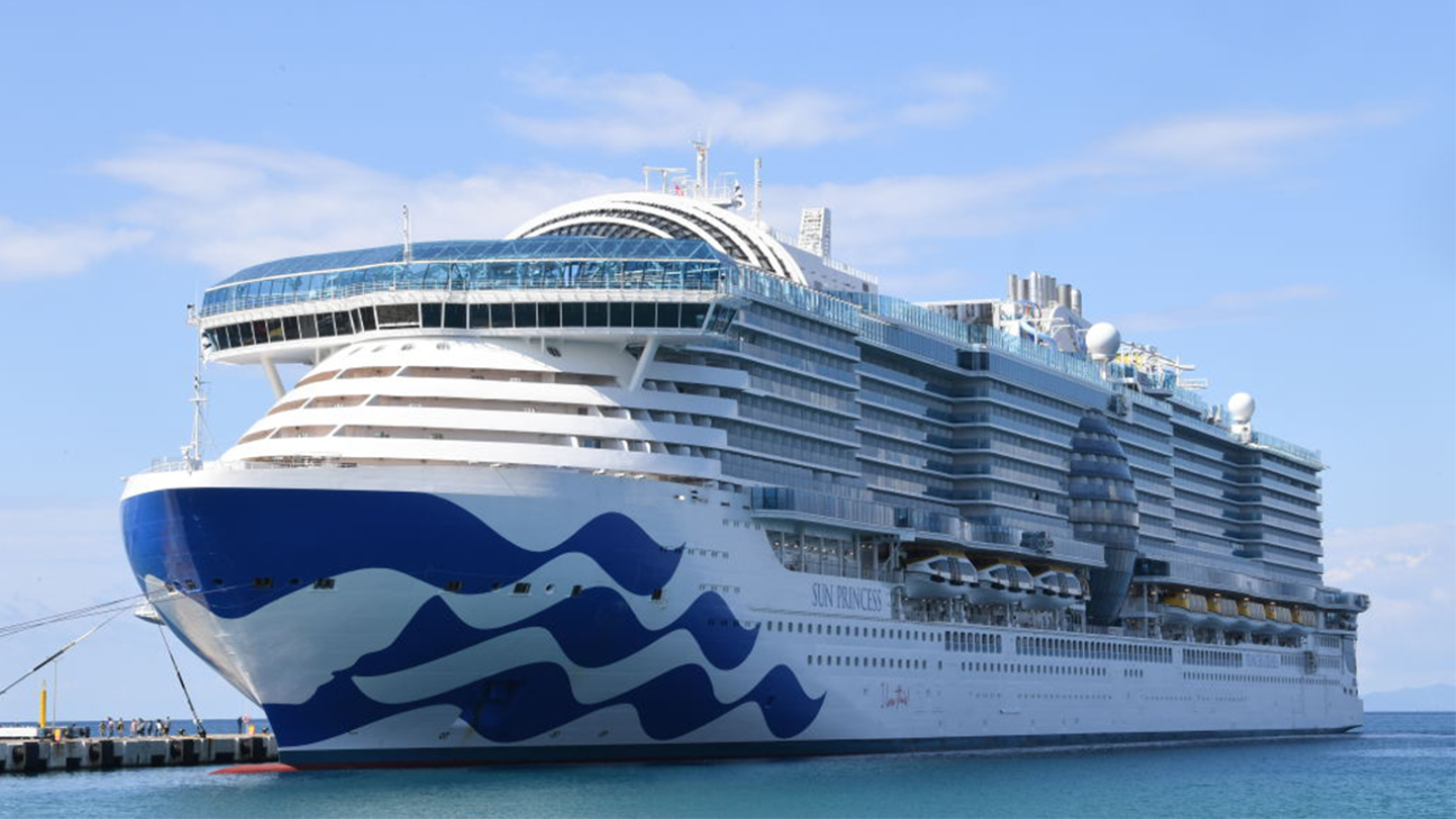 American Man Vanishes from Princess Cruise Ship, Suspected of Falling Overboard