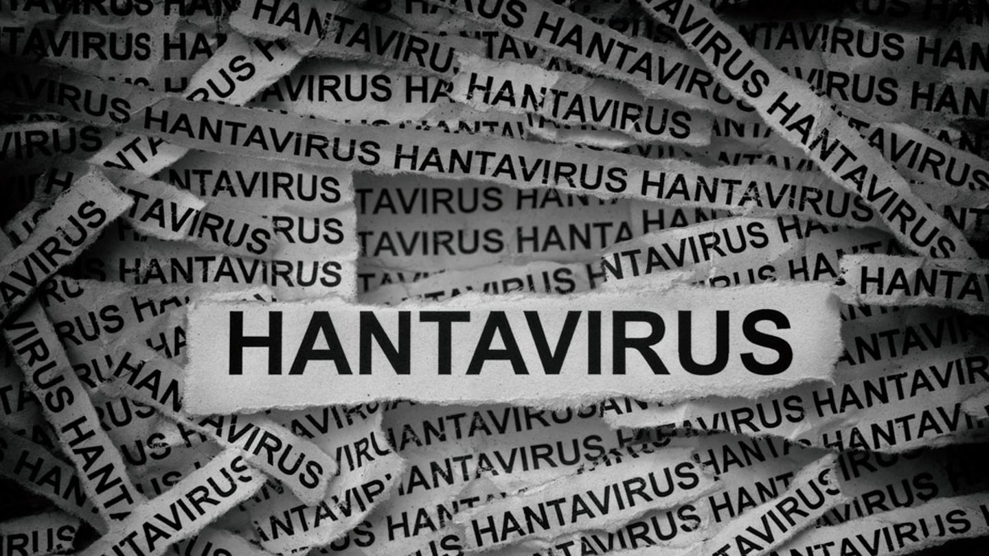 hantavirus