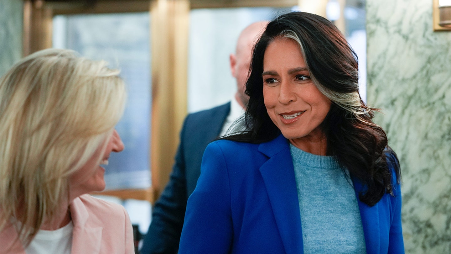 tulsi gabbard