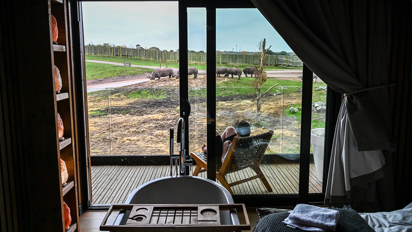 view from indoor safari swns