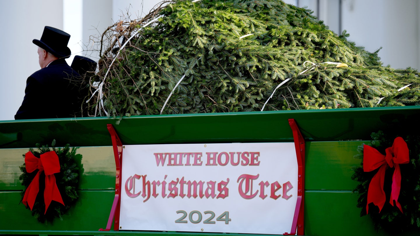 white house christmas tree 2024